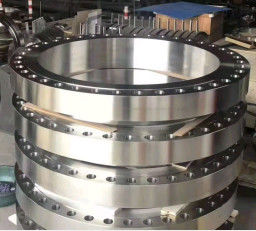 AISI Alloy Steel Flange