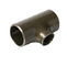 Black Painting Galvanized Carbon Steel Pipe Tee DN15-DN1200